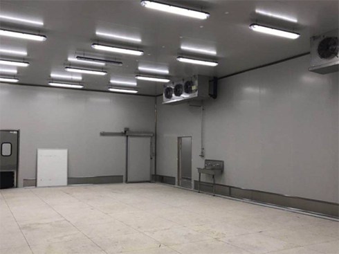 食品速冻型榴莲网站官网建造费用 食品速冻型榴莲网站官网建造费用