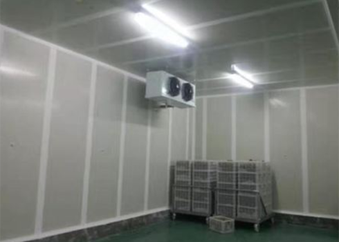 建造月饼低温仓库