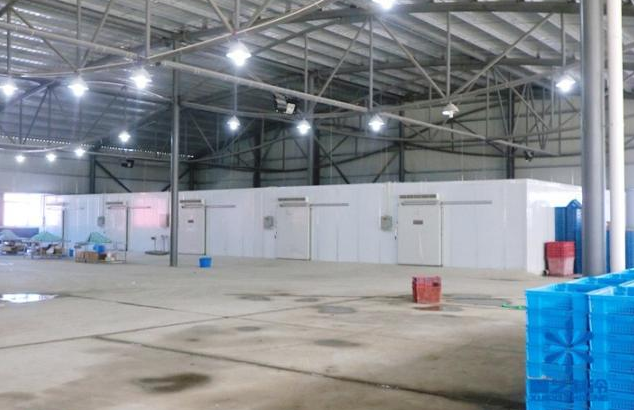 啤酒榴莲网站官网建造公司
