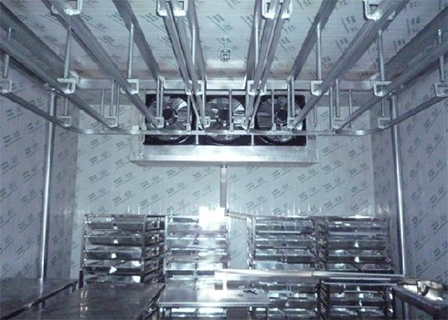 食品速冻榴莲网站官网建造公司