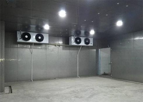 自动化立体榴莲网站官网建造