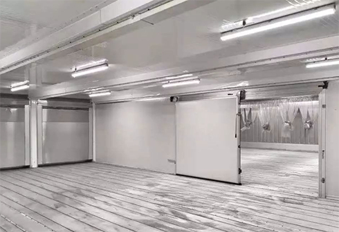 速冻榴莲网站官网建造安装