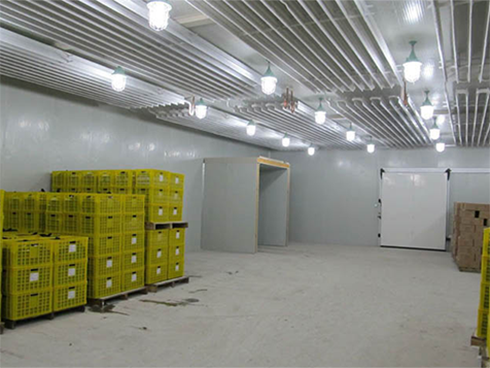 水果榴莲网站官网建设特点
