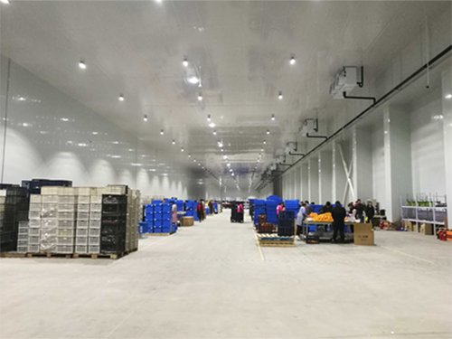 物流榴莲网站官网建设安装