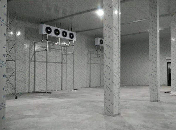 速冻榴莲网站官网建造注意事项