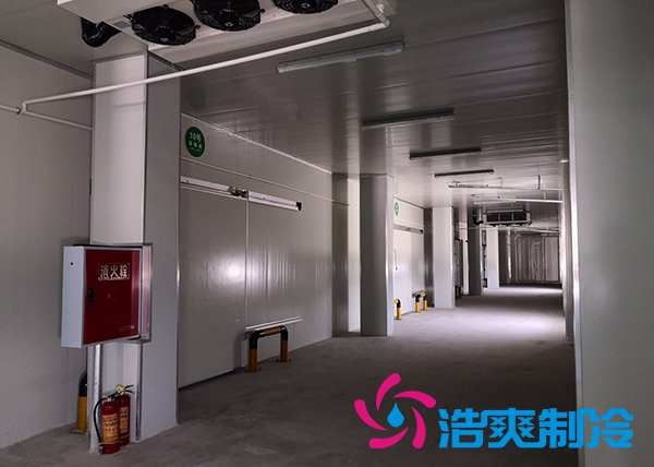 建造一个港口冷链榴莲网站官网价格是多少钱？