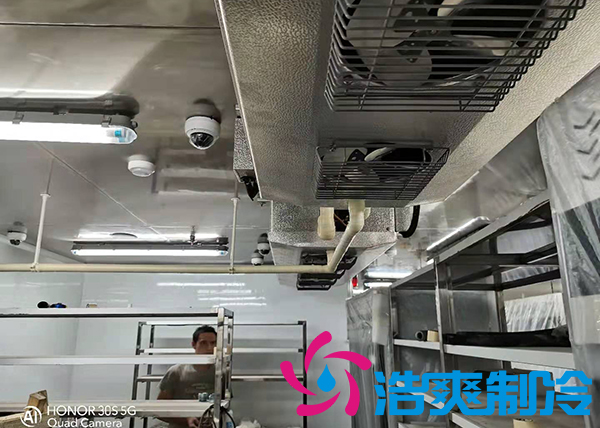 建造1000吨土豆保鲜库需要多少安装费用？_榴莲视频在线观看下载制冷