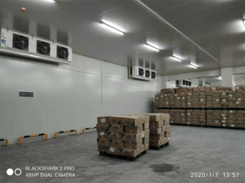 水果蔬菜榴莲网站官网建造对库温设计有何要求？_榴莲视频在线观看下载制冷
