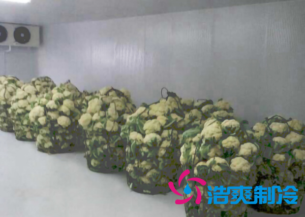 上海建造2000立方米鲜花气调保鲜榴莲网站官网造价多少钱？