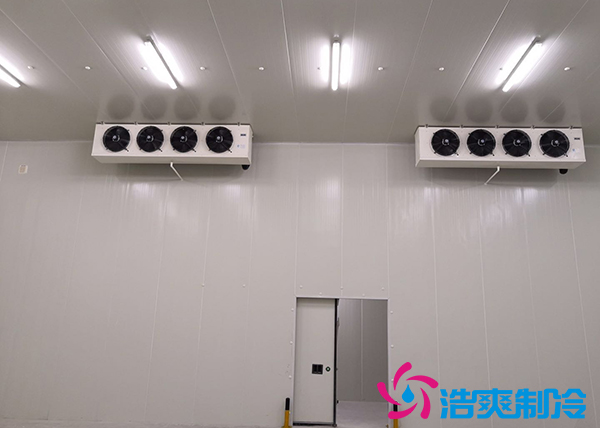 建造一间800立方米种子研究中心榴莲网站官网安装造价多少钱？