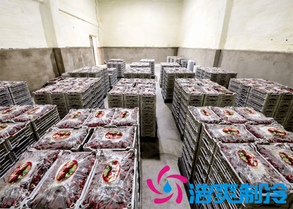 果蔬保鲜榴莲网站官网安装造价需要多少钱？_榴莲视频在线观看下载制冷