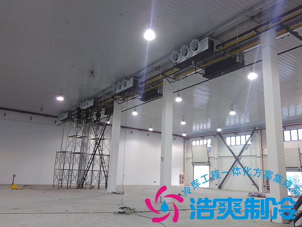 建造一个小型青果槟榔保鲜榴莲网站官网造价多少钱？可以存储多长时间？