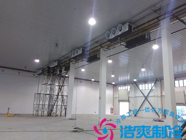 餐饮公司建造21000立方米大型食品冷藏库造价多少钱？_榴莲视频在线观看下载制冷