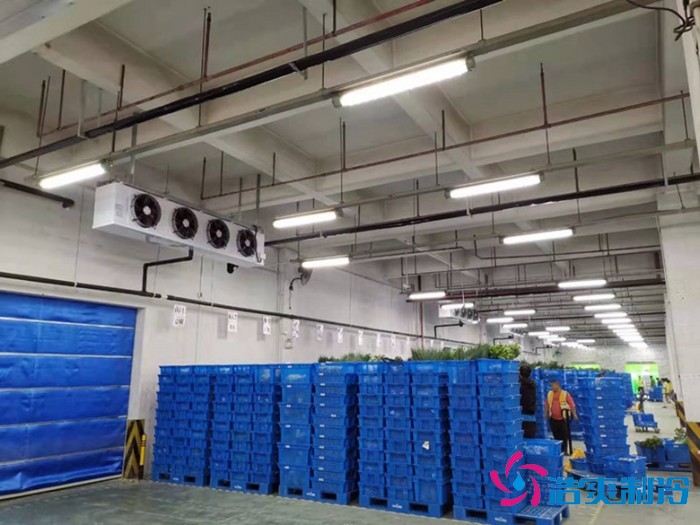 榴莲视频在线观看下载制冷，食品冷冻库