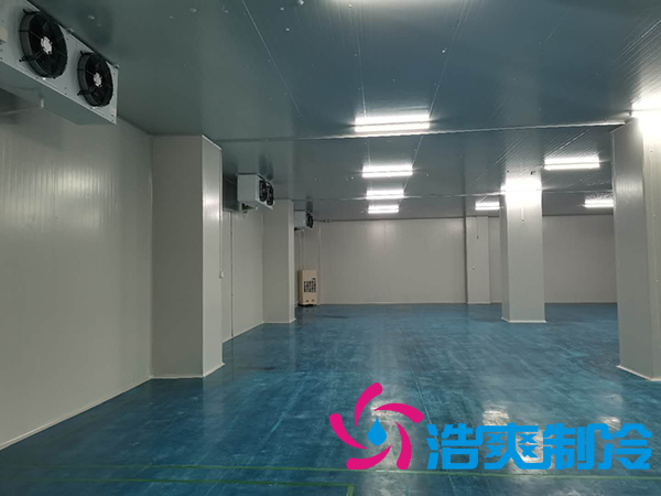 滨州健源大型食品榴莲网站官网工程建造案例