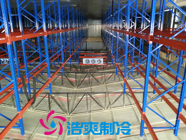 浙江建造3000m³牛肉低温冷藏冷冻库安装造价是多少？_榴莲视频在线观看下载制冷