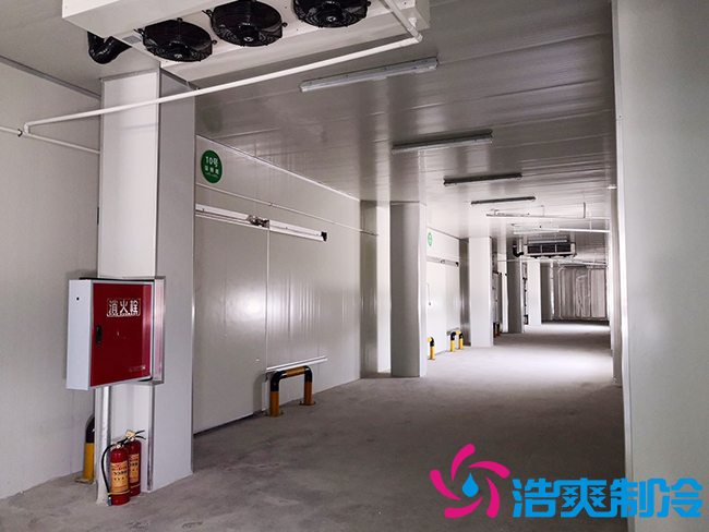 芭蕉气调保鲜库安装如何确保果实的长期储存？_榴莲视频在线观看下载制冷