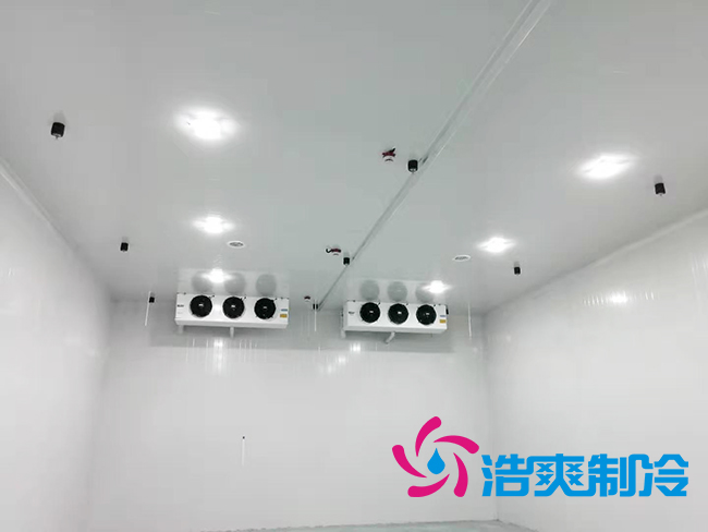 超低温冻库建设价格与哪些因素有关？_榴莲视频在线观看下载制冷