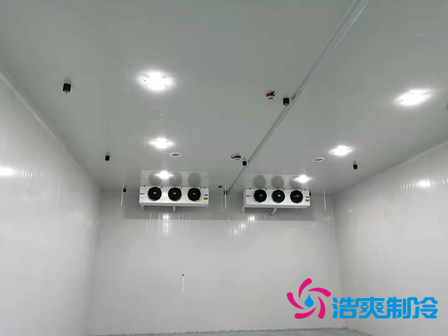 超低温冻库建设价格与哪些因素有关？_榴莲视频在线观看下载制冷