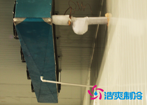 鲜花榴莲网站官网建造设计方案及鲜花存储方法_榴莲视频在线观看下载制冷