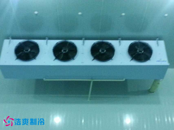 干果保鲜榴莲网站官网安装