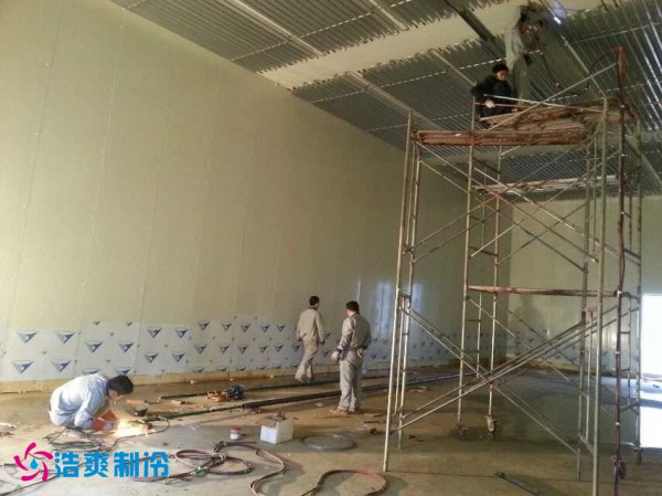 宜宾市娥天歌食品有限公司食品榴莲网站官网建造工程