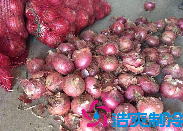 建一个洋葱保鲜库要多少钱呢？_榴莲视频在线观看下载制冷