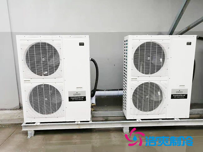 蜂蜜榴莲网站官网建设方案和存储温度需求_榴莲视频在线观看下载制冷