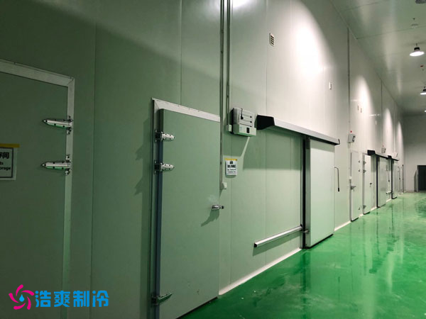 100吨香菜保鲜榴莲网站官网安装成本是多少？_榴莲视频在线观看下载制冷