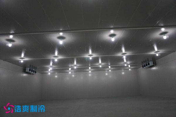 湖北冷源冷链高低温榴莲网站官网建造安装