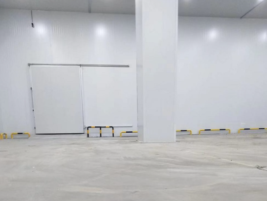 普通果蔬保鲜榴莲网站官网建造