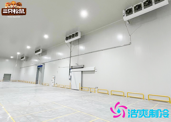 安徽三只松鼠30000m³食品榴莲网站官网建造