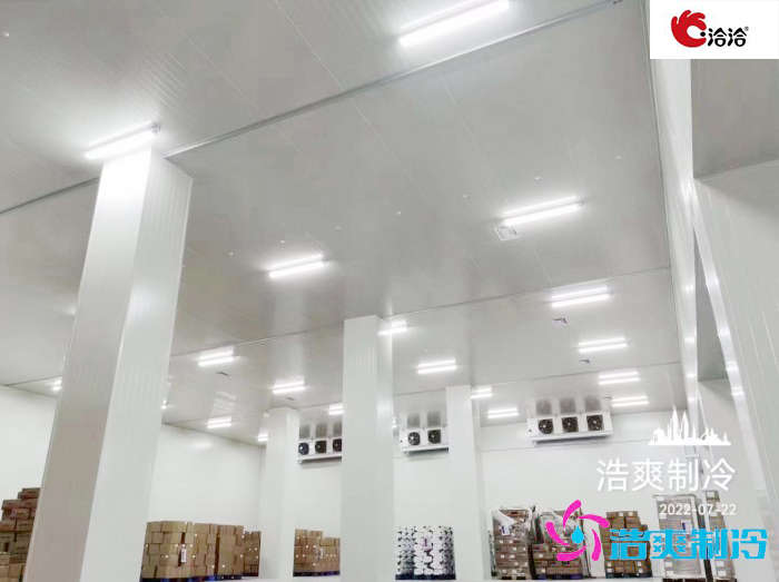 长沙洽洽5000立方食品榴莲网站官网建造工程