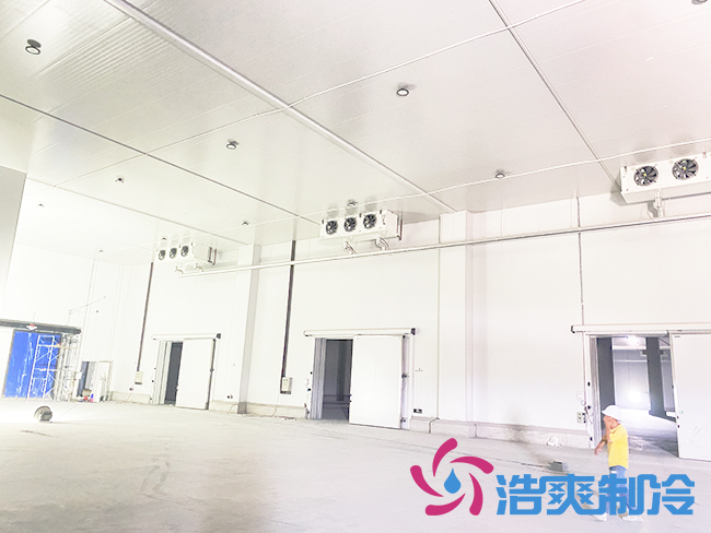 海南建造一个榴莲网站官网需要多少钱？_榴莲视频在线观看下载制冷