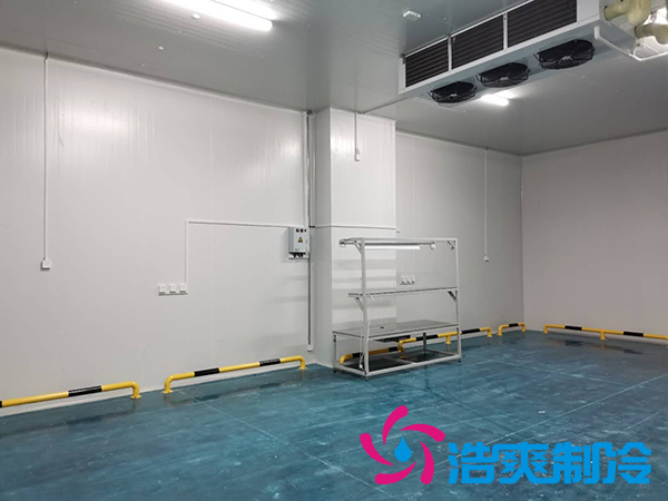 建一个1000平米蔬菜恒温库成本多少钱？_榴莲视频在线观看下载制冷