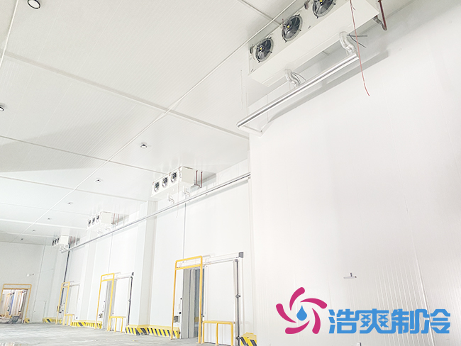 建造一间气调保鲜榴莲网站官网大概需要投资多少钱？_榴莲视频在线观看下载制冷