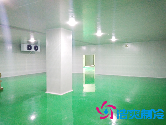 上海立净淮安百斯特农业园保鲜榴莲网站官网建造