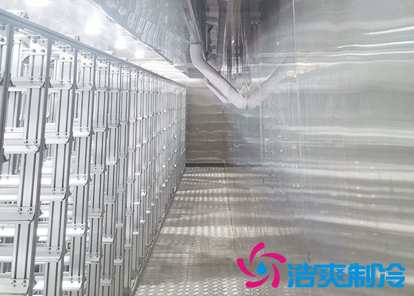 大型自动化榴莲网站官网安装设计标准及特点_榴莲视频在线观看下载制冷