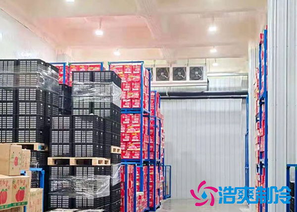 大型蔬菜榴莲网站官网建造价格多少钱,果蔬保鲜冷藏库安装设计规范-榴莲视频在线观看下载制冷