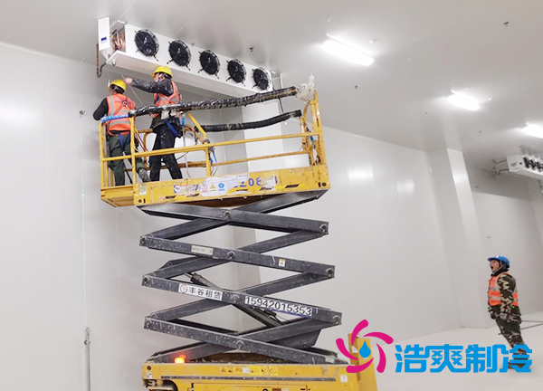 建设农产品低温冷冻库安装造价预算多少钱？-榴莲视频在线观看下载制冷