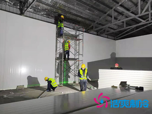 建设大型低温食品冷链物流仓库造价标准多少钱？-榴莲视频在线观看下载制冷