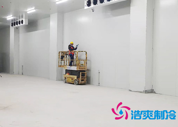 建造安装一个200吨榴莲网站官网造价要花多少钱?-榴莲视频在线观看下载制冷