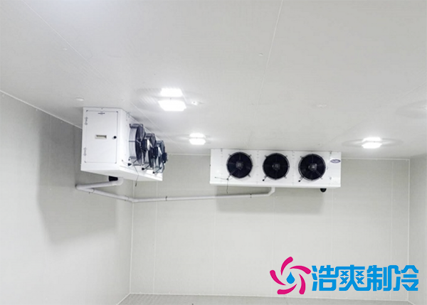 水果批发市场建造水果保鲜榴莲网站官网报价大概需要多少钱？-榴莲视频在线观看下载制冷