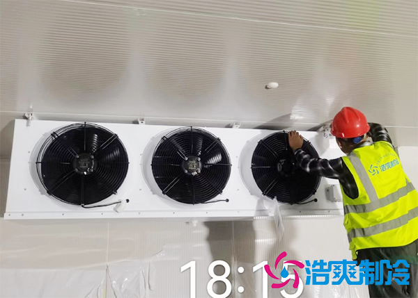 水果批发市场建造水果保鲜榴莲网站官网报价大概需要多少钱？-榴莲视频在线观看下载制冷