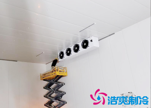 建一个速冻榴莲网站官网设备报价大概需要多少钱？-榴莲视频在线观看下载制冷