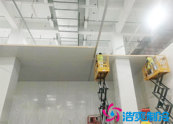 建一个速冻榴莲网站官网设备报价大概需要多少钱？-榴莲视频在线观看下载制冷