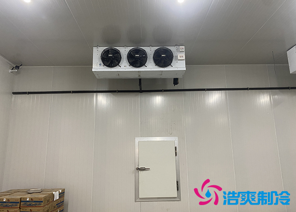 大型农产品物流园榴莲网站官网建设多少钱一平方合适？-榴莲视频在线观看下载制冷