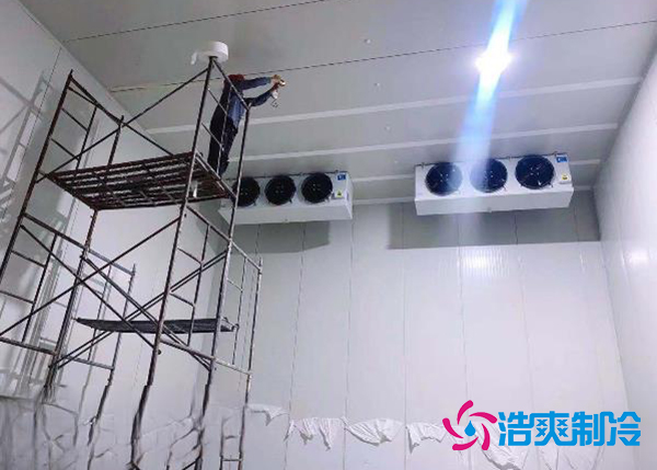 建造一个果蔬种植园气调榴莲网站官网安装造价大概投资多少钱？-榴莲视频在线观看下载制冷