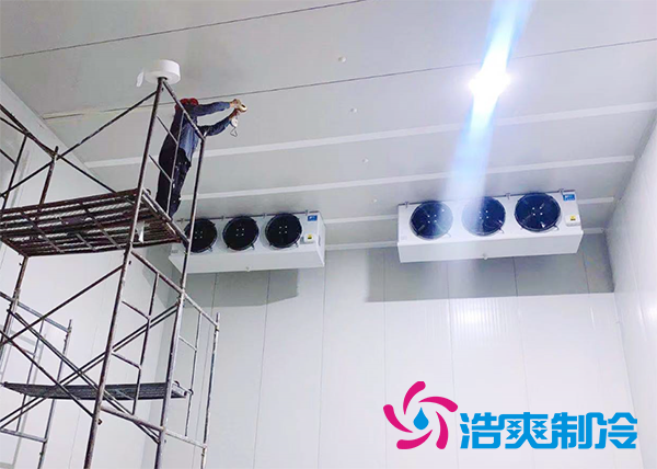 果蔬原产地建造500吨气调榴莲网站官网造价成本多少钱？-榴莲视频在线观看下载制冷