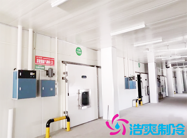 农产品批发市场建造700立方保鲜榴莲网站官网全套制冷设备报价多少钱？-榴莲视频在线观看下载制冷
